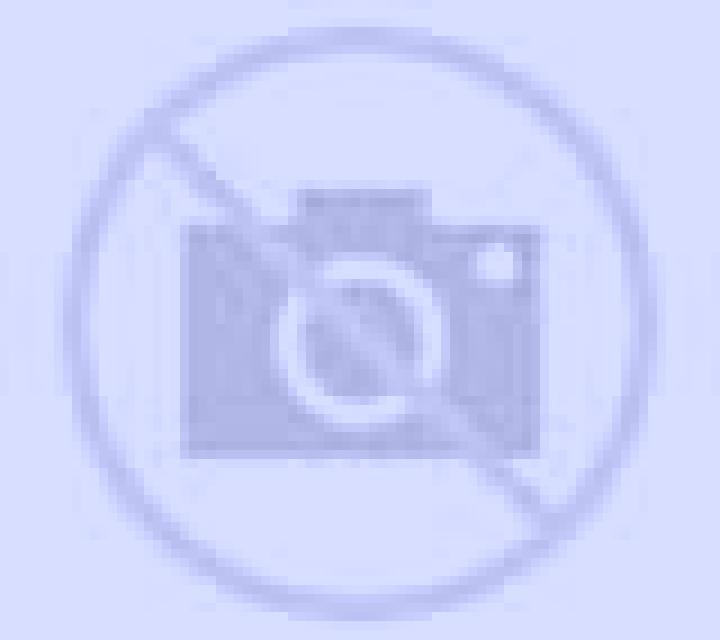 Abril Tormantos escort