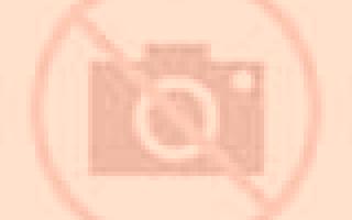 Adriana 3 Ibarra escort