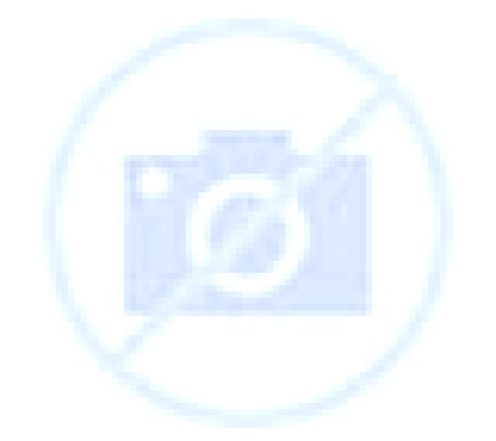 Adriana Santa Eulalia escort