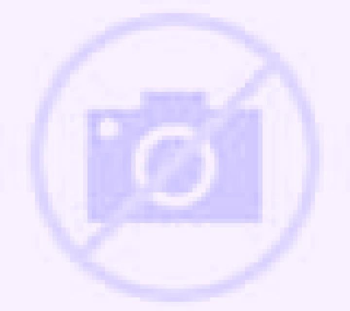 Adriana Toreno escort