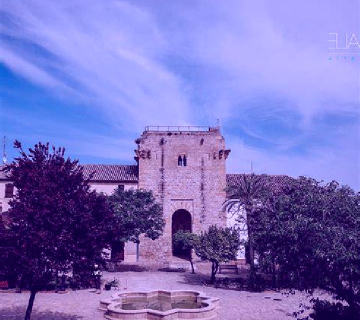 Alba 3 San Roque escort