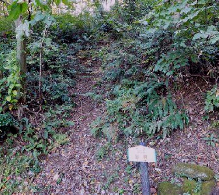 Alejandra Bronchales escort