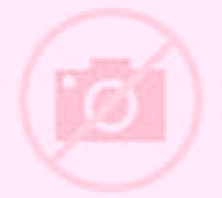Alejandra Lubian escort