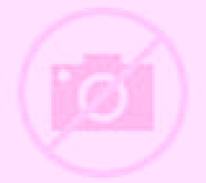 Amanda Fort Pienc escort