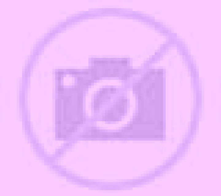 Amanda Llambilles escort
