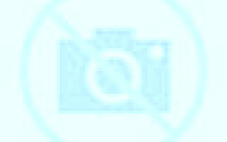 Amaya Malanquilla escort