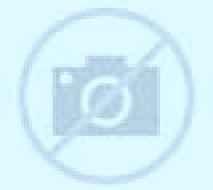 Andrea 2 Caudete escort