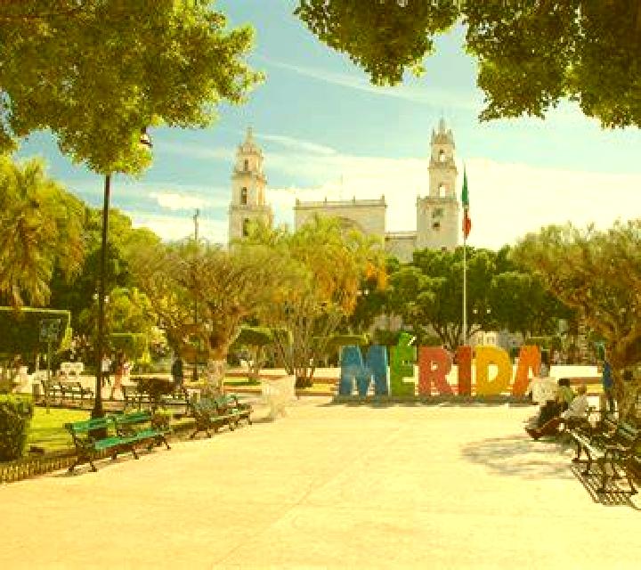 Andrea 2 Montejo escort