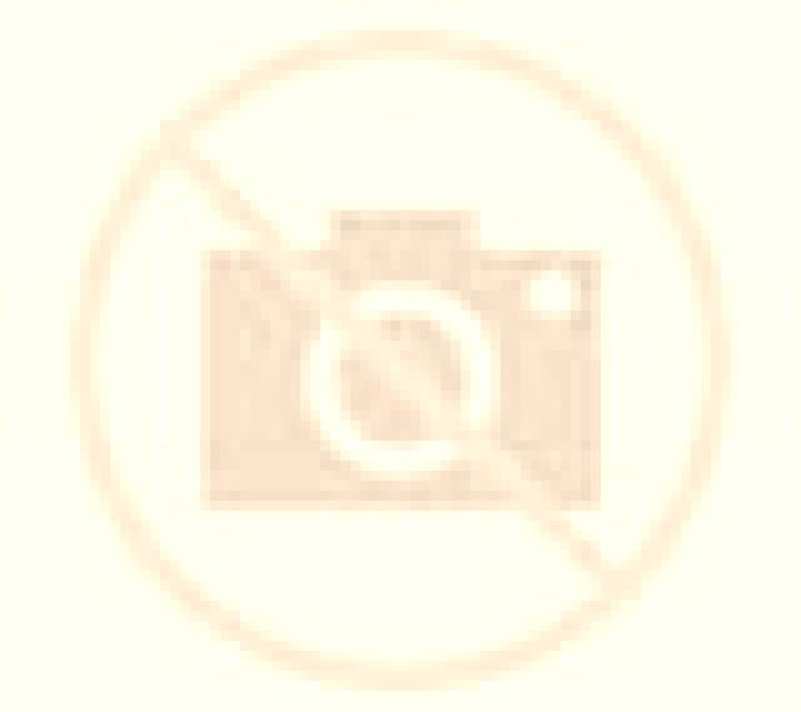 Andrea 2 Usagre escort
