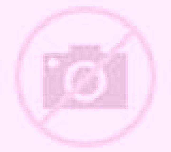 Andrea 2 Vicalvaro escort
