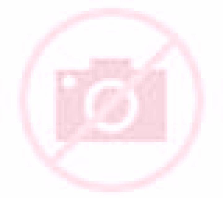 Andrea 3 Cosa escort