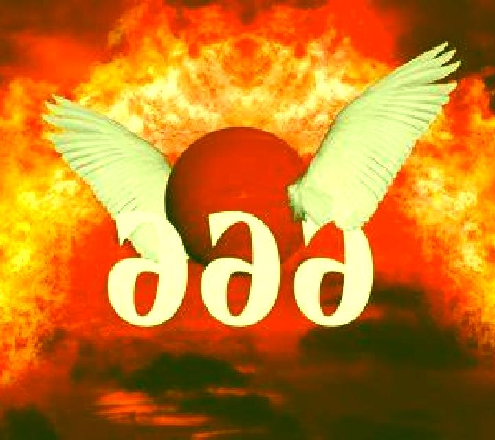 Andrea Santa Ana la Real escort