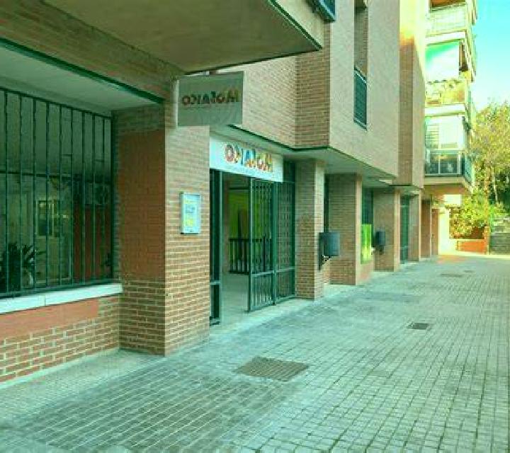 Andrea Santibanez el Bajo escort