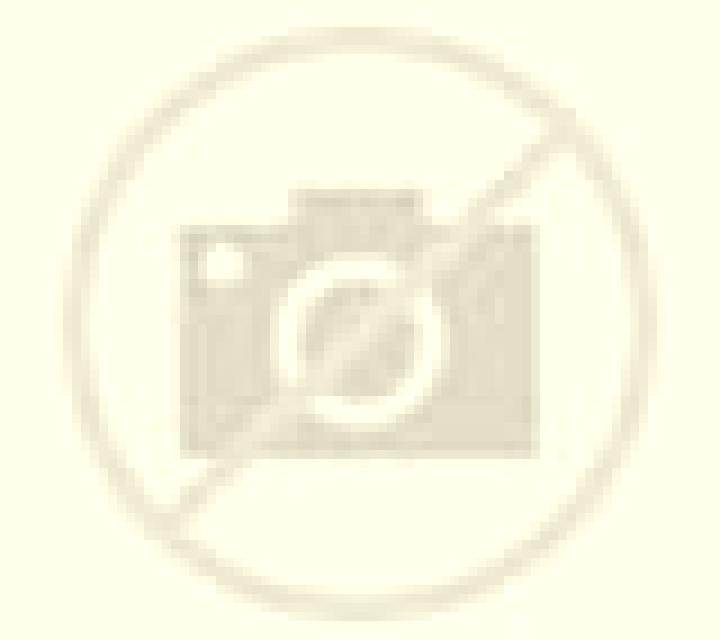 Andrea Ucero escort