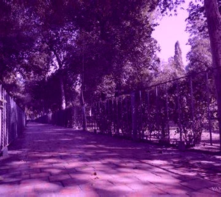 Antonella 3 Cabanes de Esgueva escort