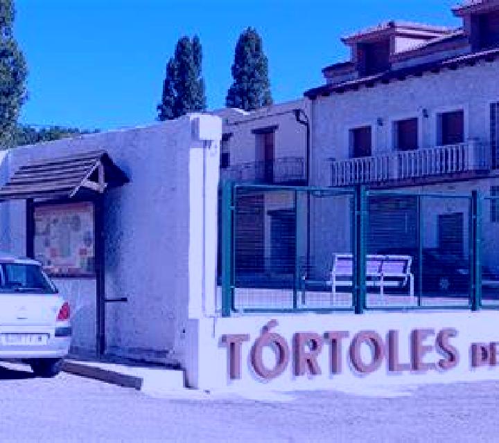 Antonella 3 Peralejos de las Truchas escort