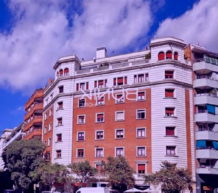 Antonella la Nova Esquerra de l Eixample escort
