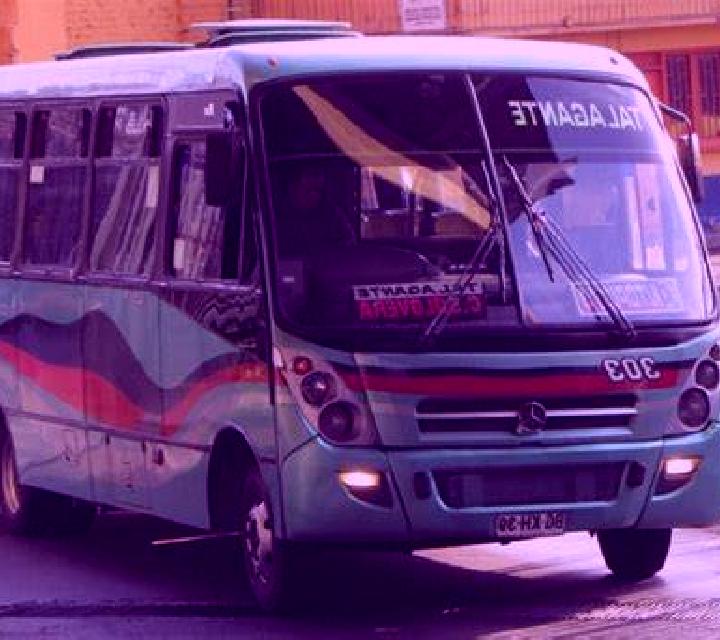 Aurora 3 Nerpio escort