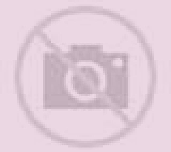Beatriz Alginet escort