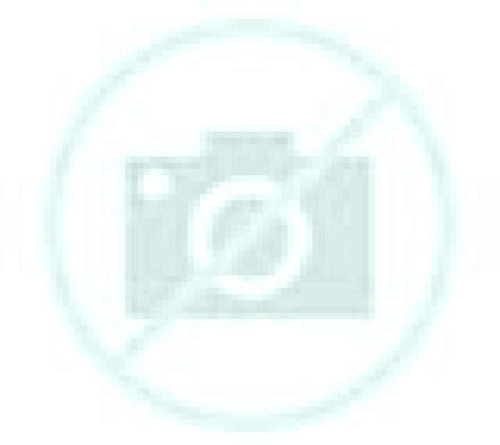 Bianca Grijota escort