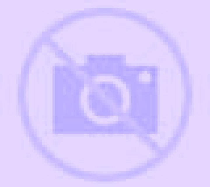 Bianca Suria escort