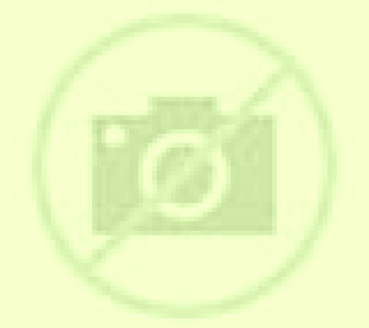 Camila 2 Gerindote escort