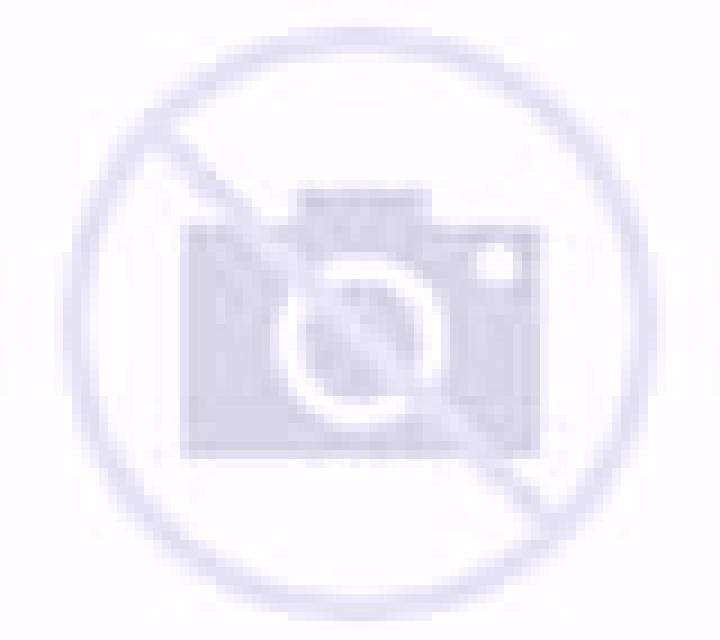 Camila Otero de Bodas escort