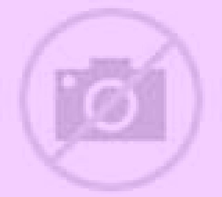 Carla Carcastillo escort