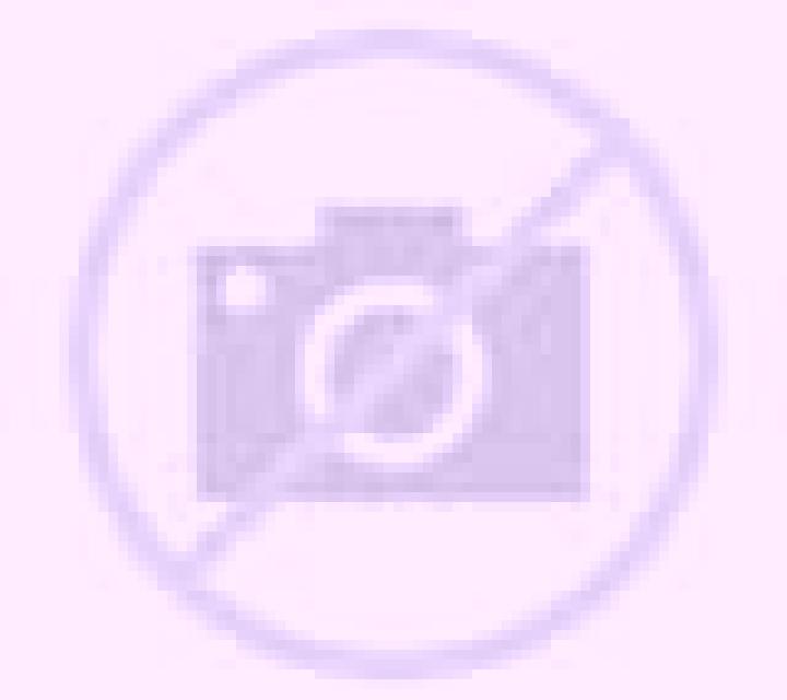 Carla Ibarra escort