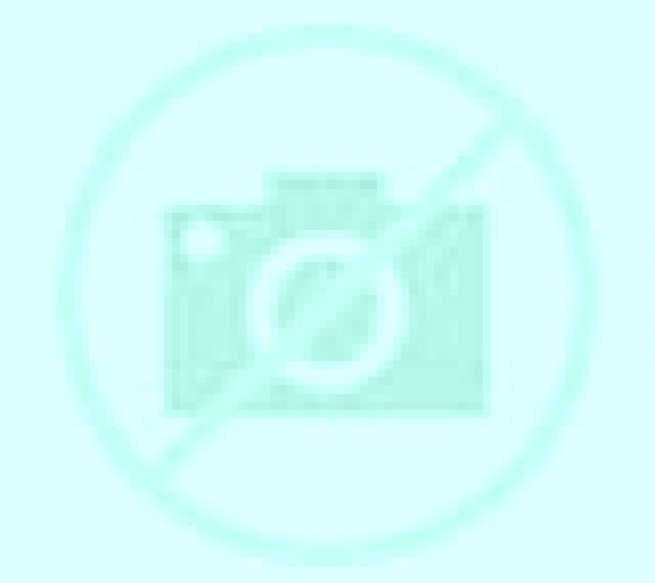 Carmen Belmonte de Campos escort