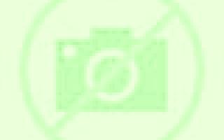 Carmen Lugones escort