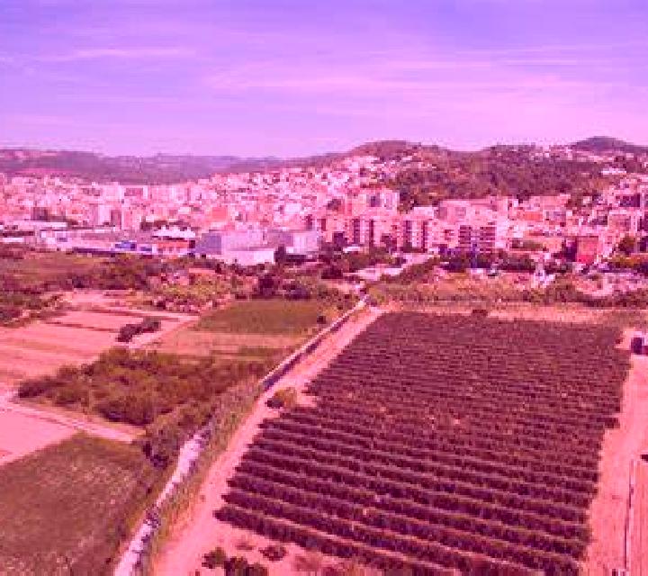 Cayetana 2 Sobradiel escort