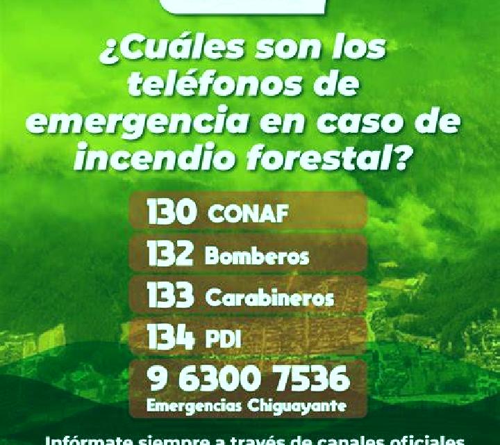 Cayetana 3 Castejon de Sos escort