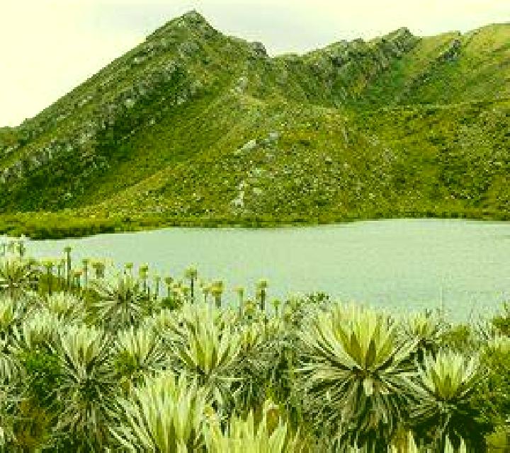 Cielo Bustillo del Paramo de Carrion escort