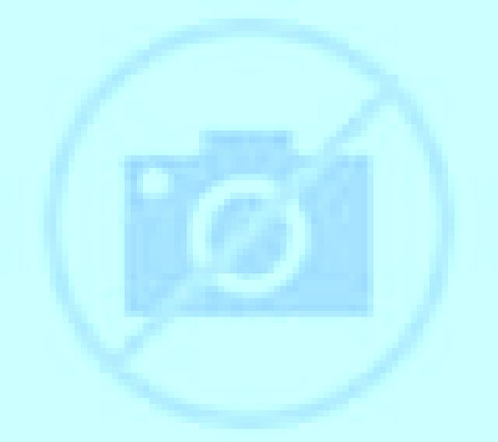 Cielo Sant Mori escort