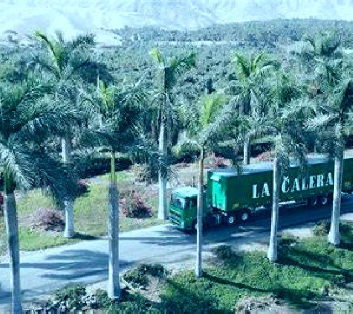Claudia 2 Sorlada escort