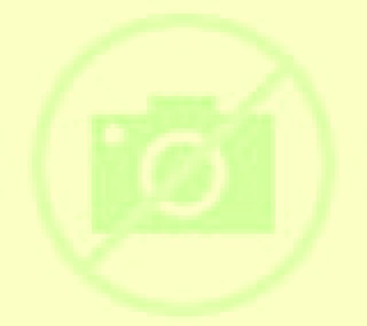 Claudia Martinamor escort