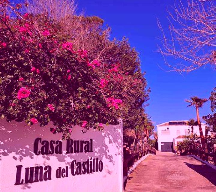 Claudia Torremormojon escort