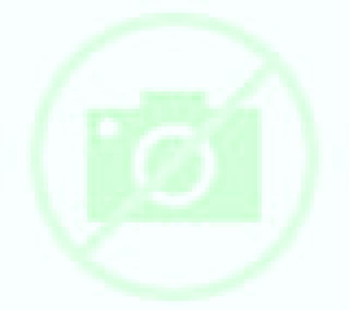 Daniela Lucero escort