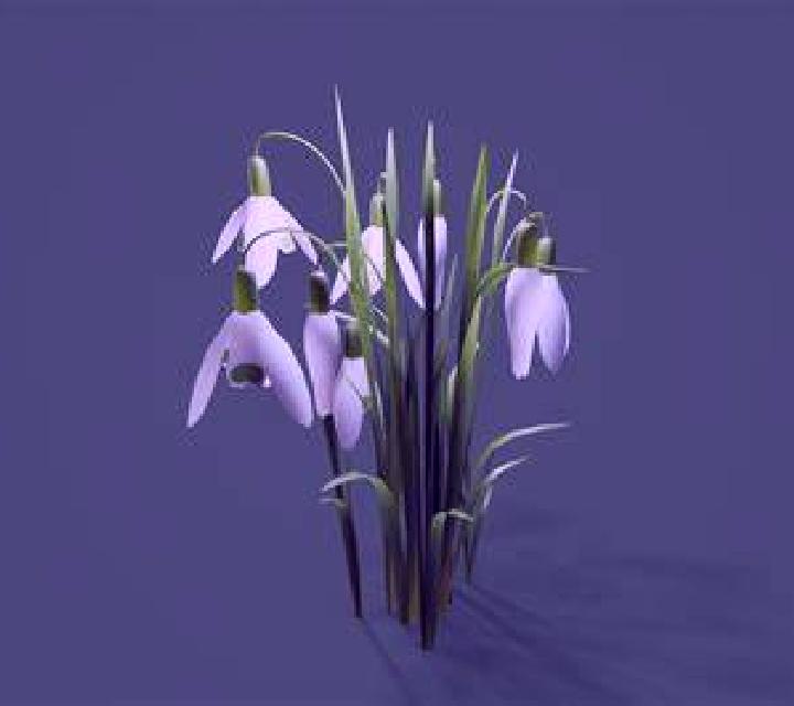 Diana 3 Bormujos escort