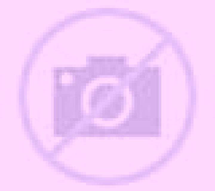 Diana Belorado escort
