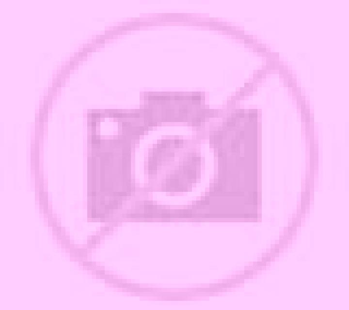Elena 3 Cetina escort