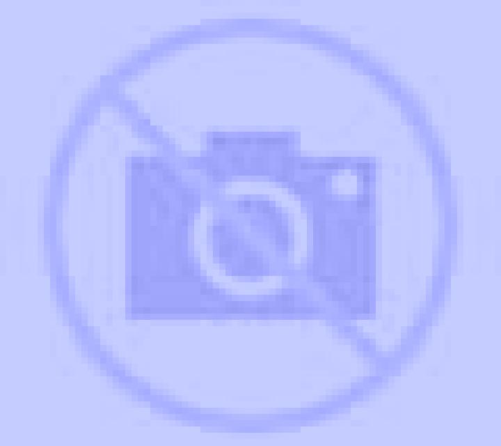 Elena Villalube escort