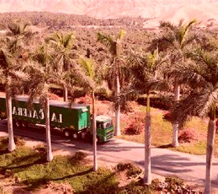 Estrella 3 Penafiel escort