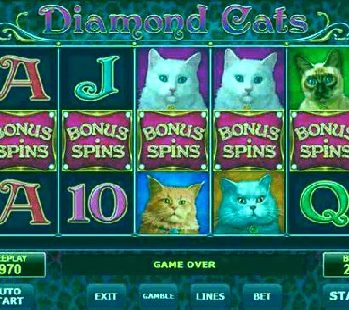 Estrella Casinos escort