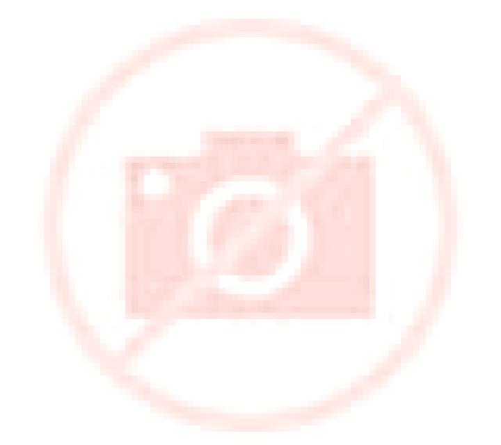 Florencia Fuentepinel escort