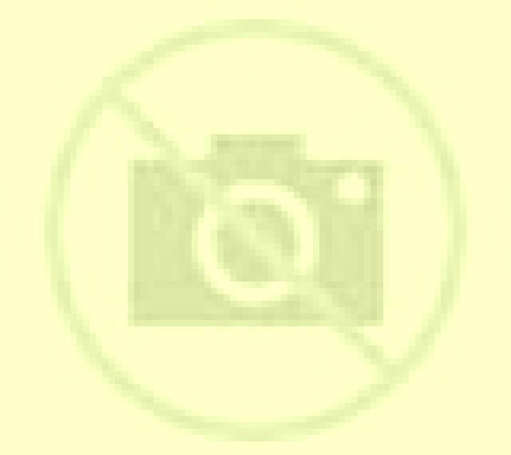 Gabriela 2 Escobar de Campos escort