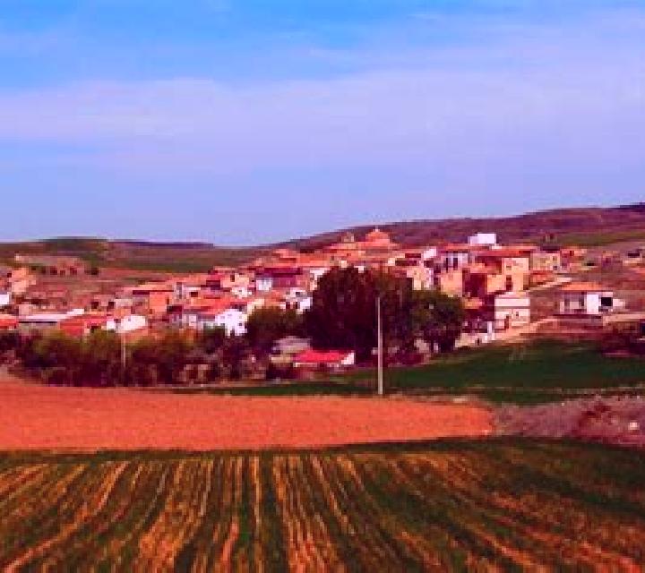 Irene 2 Castellar de la Frontera escort