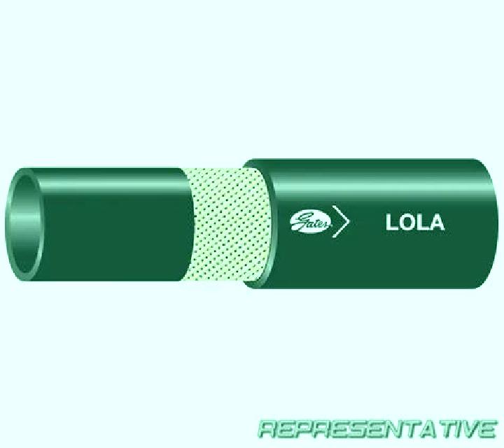 Irene 2 Villaconancio escort