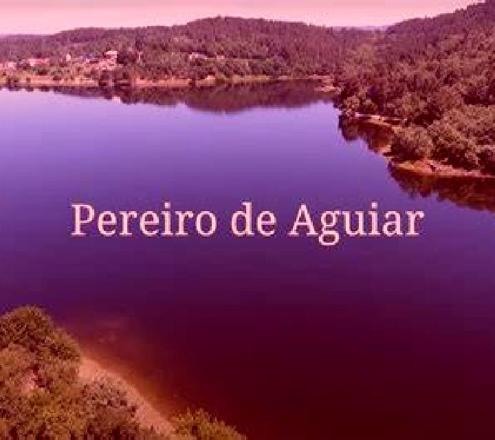 Irene Pereiro de Aguiar escort